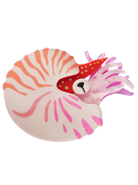 Chambered Nautilus Brooch