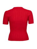 Poinsettia Top
